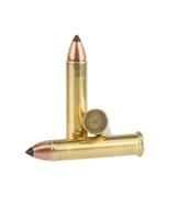 .22wmr