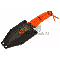 Gerber BG Paracord