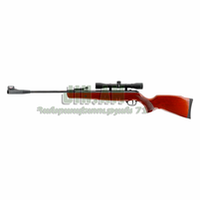 Ruger Air Scout
