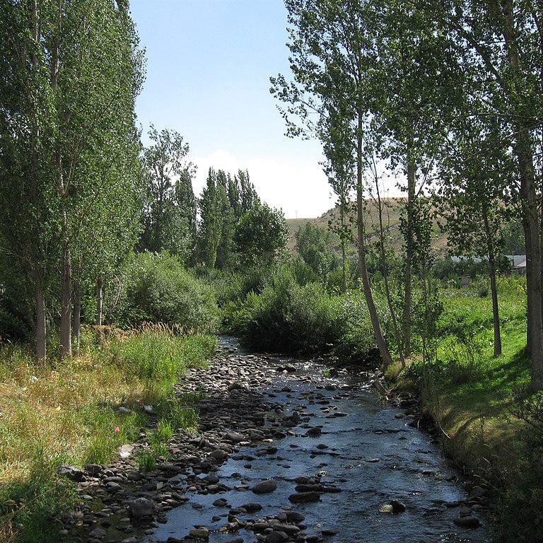Վարդենիս/
