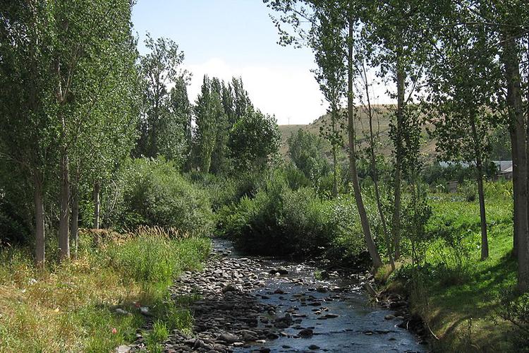 Վարդենիս Վարդենիս