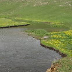 Սելիմագետ Սելիմագետ