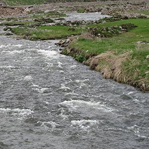 Մանթաշ/