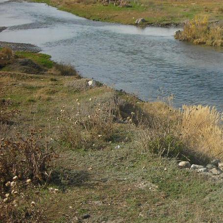 Մասրիկ Մասրիկ