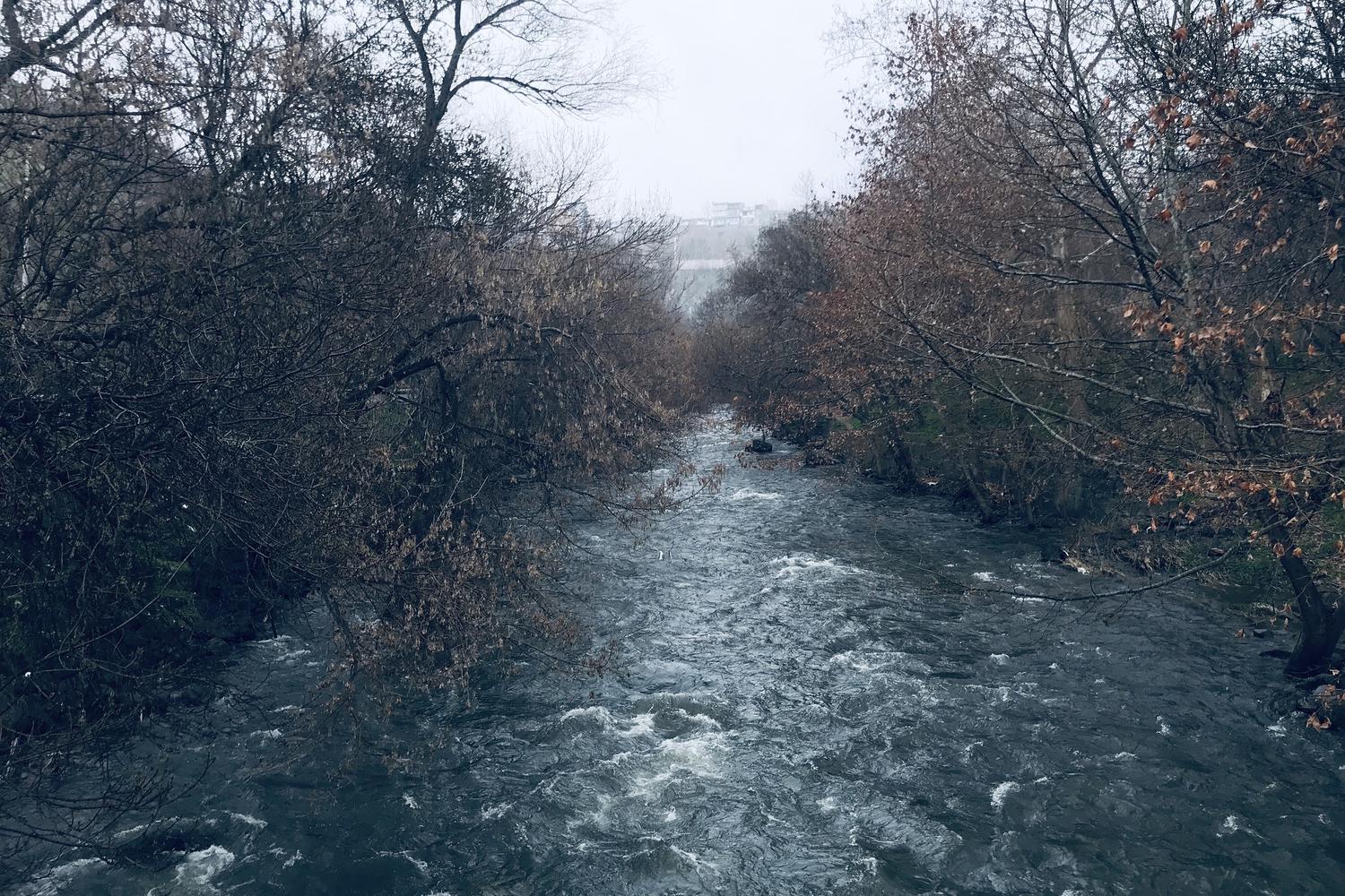Դալար/