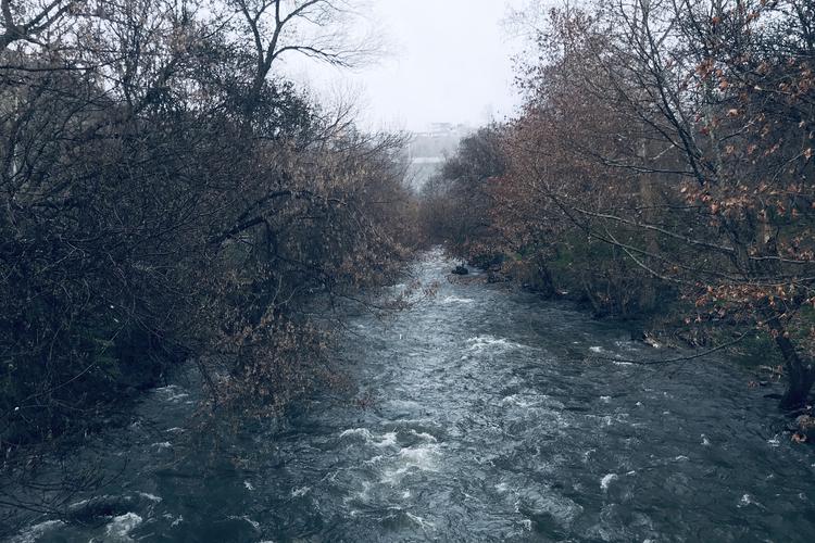 Դալար Դալար