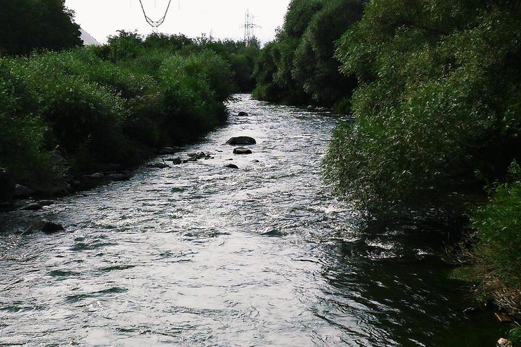 Մանիշկա Մանիշկա