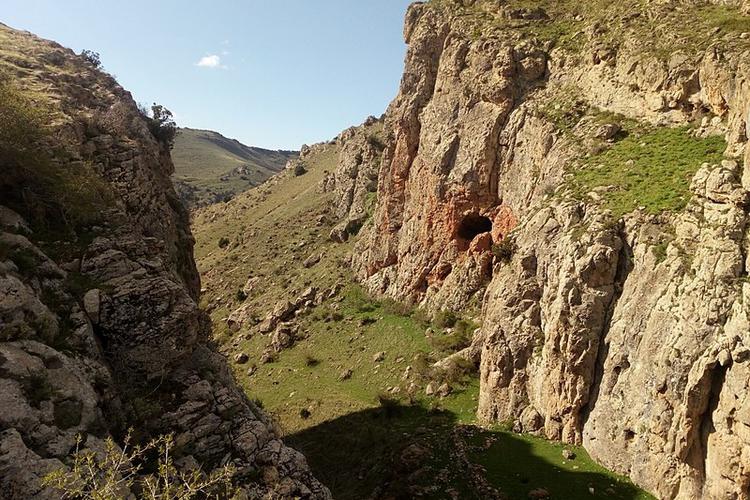 Արածո Արածո