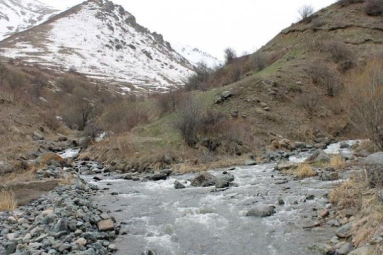 Գեղի Գեղի