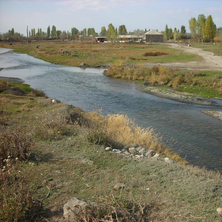 Ձկնագետ/