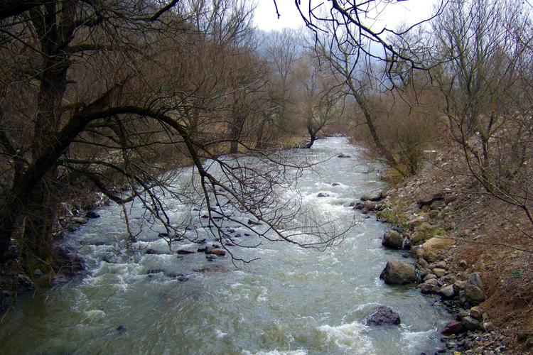Եղեգիս Եղեգիս